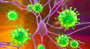 Vírus Nipah: sintomas, transmissão e por que o mundo está atento