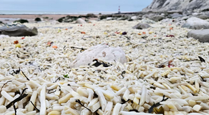 Praia na Inglaterra amanhece coberta por batatas fritas e cebolas; saiba o motivo