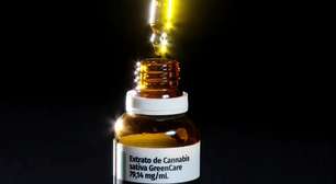 O cultivo de maconha começa a sair do armário no Brasil