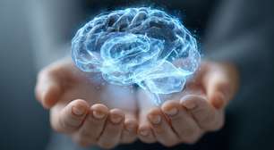 Livro de neurocientista analisa impactos da hiperconectividade no cérebro humano