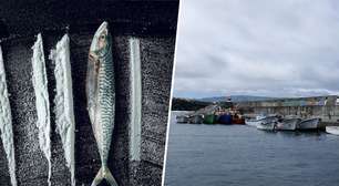 Em 2001, um iate refugiou-se numa ilha remota no Atlântico: dias depois, seus habitantes empanavam peixe com coca