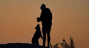 A violência contra animais é espelho da nossa consciência coletiva