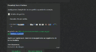Veja como checar encomendas dos Correios e evitar golpes