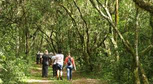 O caminho indígena ancestral cujo traçado original é alvo de disputas no Brasil