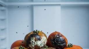 Tomate estraga rápido? Veja como conservar