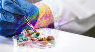 Psiquiatria europeia reconhece benefícios da 'terapia psicodélica' com cogumelos alucinógenos