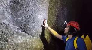 Teia gigante mostra comportamento inédito de aranhas