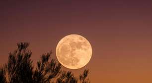 Reviravoltas e emoções: previsões da semana de 01 a 7/02