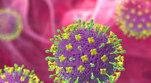 Medicamento desenvolvido pela China para tratar a Covid-19 pode virar uma arma de combate contra o vírus Nipah