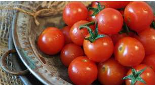 Funcional na prevenção do câncer, tomate também controle o diabetes