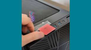 Gamer encontra solução genial para fazer seu gato parar de desligar seu PC