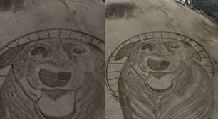 Artista cria desenho gigante na areia em homenagem ao cão Orelha em praia de Florianópolis (SC)