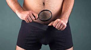 Estudo revela por que o pênis humano é maior que o de outros primatas