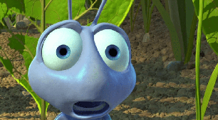 'Superpoderes' no mundo animal: saiba o que algumas espécies fazem de excepcional