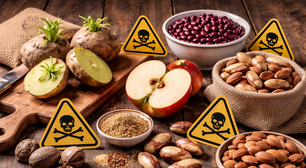 Você ingere veneno quase todo dia e não sabe: esses são os 6 alimentos que possuem substâncias altamente tóxicas a última vai te surpreender