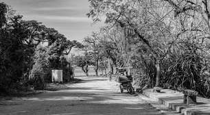 Ilha de Paquetá: guia de turismo e lazer