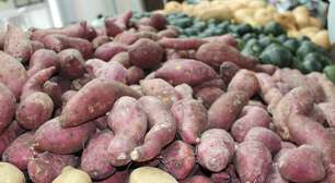 Nutritiva e funcional, batata-doce vai além do prato tradicional