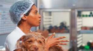 Cachorro de 'Coração acelerado' é veterano na Globo e vem de família famosa