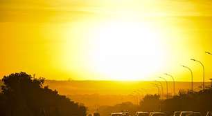 Animais que aparecem com mais frequência dentro das casas no verão