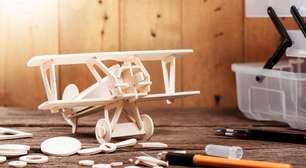 Leve como uma pluma: conheça a madeira mais macia do mundo