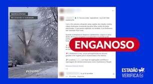 Vídeo de árvores explodindo por causa do frio usa imagens geradas por inteligência artificial