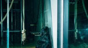 Moltbook: Em vez de acabar com os zoológicos de animais, criamos um zoológico de robôs