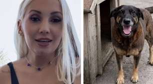 Vidente revela o que vai acontecer com jovens ligados ao cão Orelha