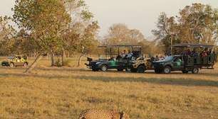 Turismo no Pantanal: dicas de safáris, passeios e onde ficar hospedado