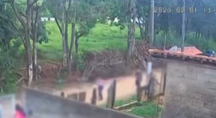 Bebê de 10 meses morre após ataque de cachorro no interior de SP