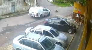 Viatura da PM atropela e mata duas cachorras em rua de Manaus