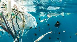 Nada escapa: até mesmo peixes das regiões mais remotas do planeta estão repletos de microplástico