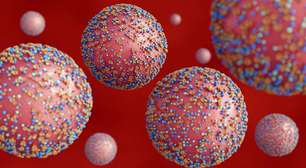 De onde surgiu o Nipah e por que se tornou uma preocupação