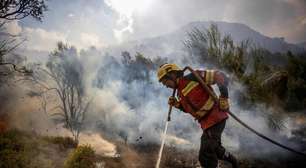 Chamas devoram mais de 60 mil hectares na Patagônia argentina