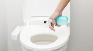 Por que e quando usar sal no vaso sanitário? Conheça a nova tendência de limpeza