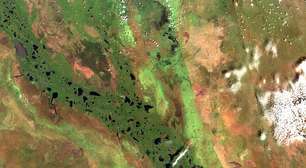 Pantanal e Sudd: os dois gigantes alagáveis do mundo