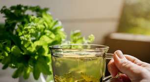 Chás que ajudam a desinchar antes e depois dos blocos