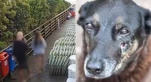 Caso Orelha: Vídeo mostra suspeito da morte voltando na cena do crime