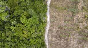 Fundo Amazônia aplica R$ 80 milhões para produção agrícola comunitária