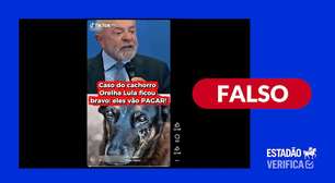Vídeo em que Lula diz que morte do cão Orelha 'não vai ficar impune' foi criado com IA