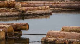 Cuidado com a cabeça: helicópteros estão arremessando toras de madeira em rios nos Estados Unidos e você não vai acreditar por quê