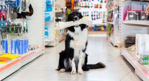 Desafios na gestão do mercado Pet brasileiro