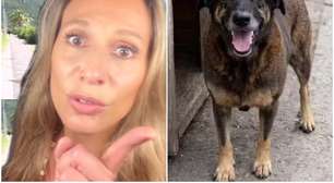 Luisa Mell se revolta com matéria exibida no 'Fantástico' sobre cão Orelha; entenda