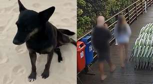 Polícia Civil de SC conclui inquérito sobre morte do cão Orelha e pede internação de adolescente