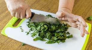 PANCs na mesa: sabores ancestrais que estão em alta na cozinha