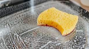 Poucas pessoas sabem: colocar uma esponja úmida no micro-ondas é uma das melhores dicas de limpeza