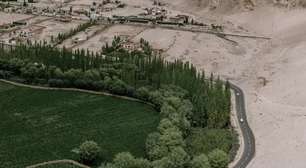 A China plantou milhões de árvores para frear o deserto, mas cometeu um erro de cálculo: a floresta começou a 'beber' a água das pessoas