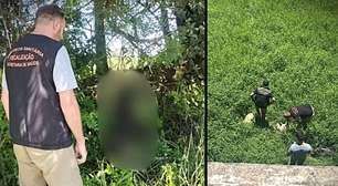Um enforcado e 5 descartados sob uma ponte: Polícia apura série de mortes violentas de cães no RS