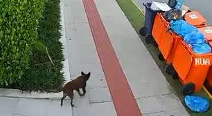 Defesa de adolescente contesta autoria com vídeo que mostra Orelha andando após o horário do ataque