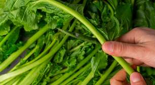 Só alguns brasileiros comem isso, mas é um vegetal muito melhor do que o espinafre e a acelga