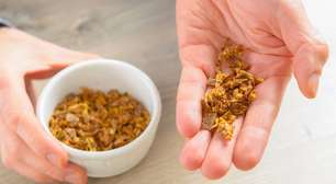 Quais as propriedades do própolis e qual a diferença para a geleia real?